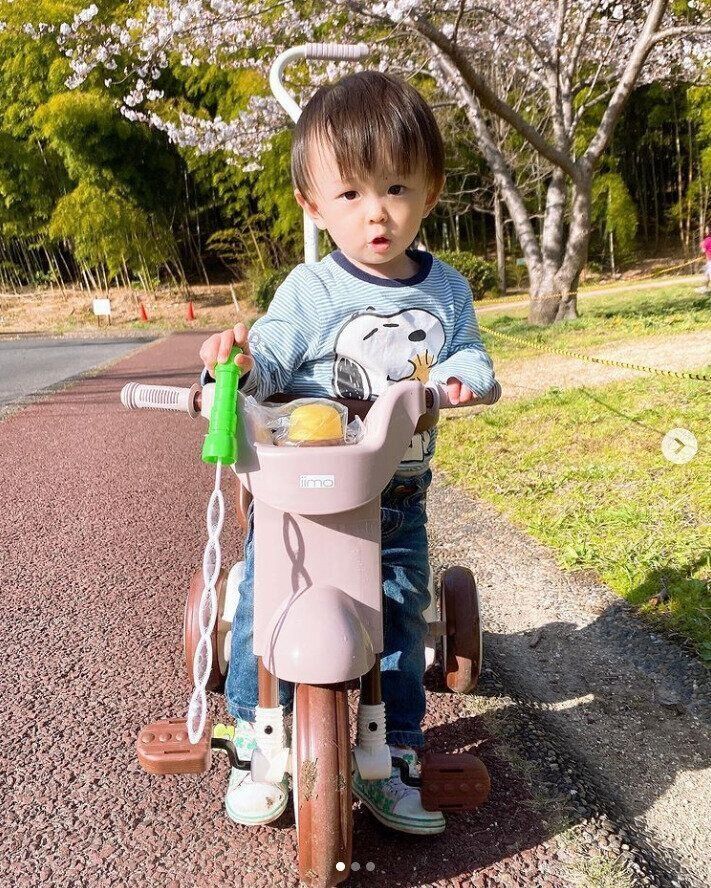 iimo グリーン ブルー 三輪車 イイモ iimo グリーン ブルー 三輪車 イイモ