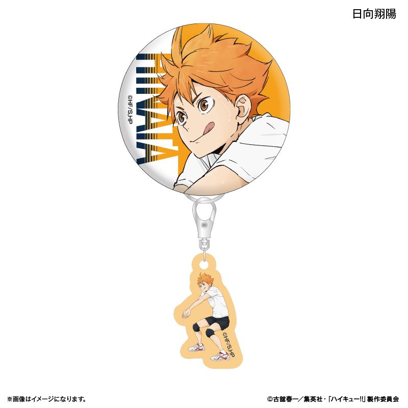 日向 翔 陽 ハイキュー】ハイキュー!! - 日向翔陽 Ani-Art 第2弾 BIG缶