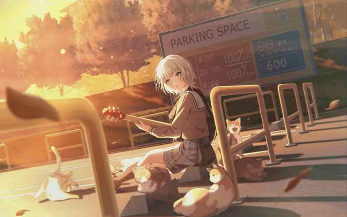 バンドリ】要楽奈[コインパーキングの猫]のステータス【ガルパ