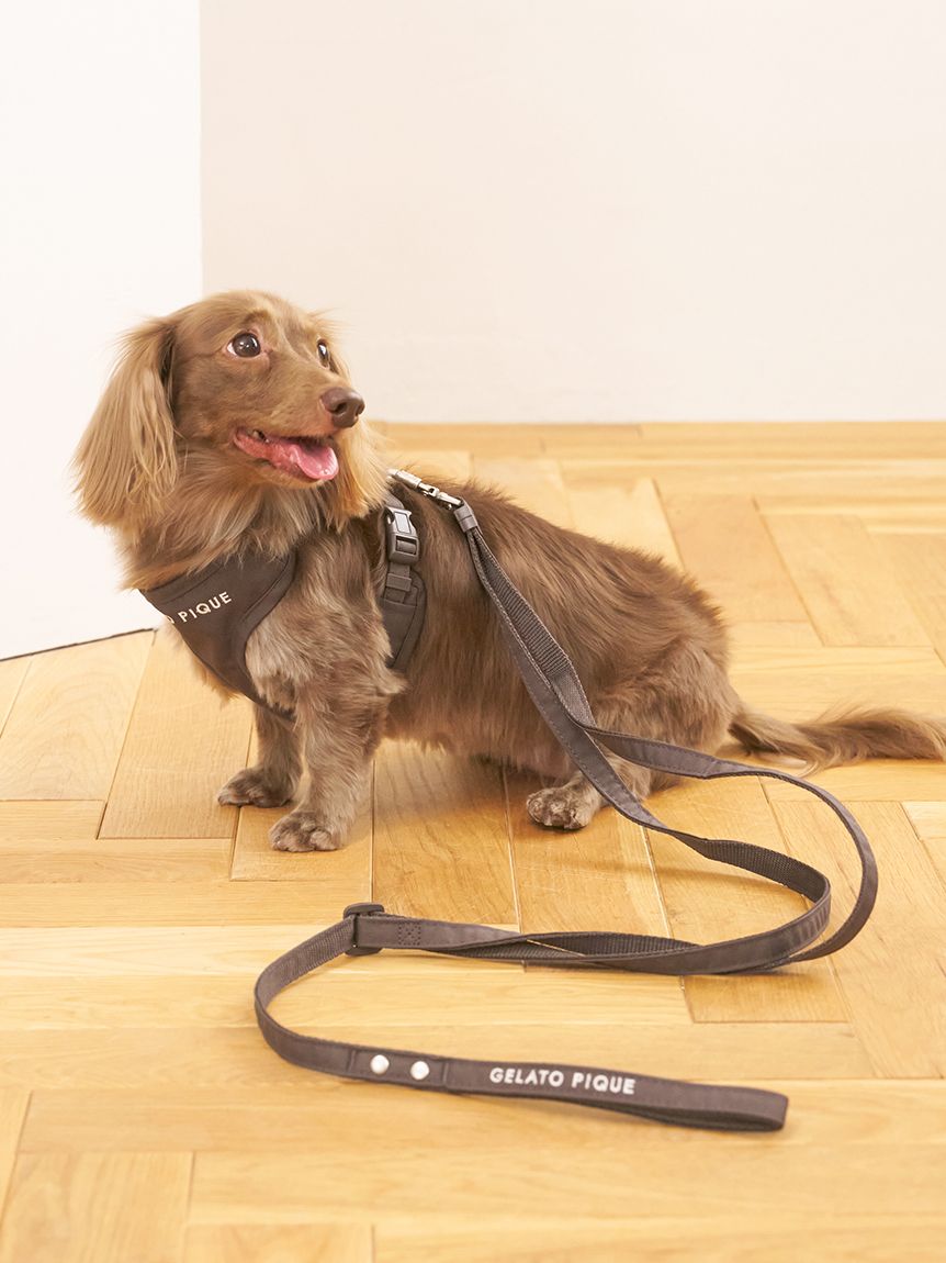 CAT&DOG】【販路限定商品】リード(ハーネス・リード)｜ルームウェア