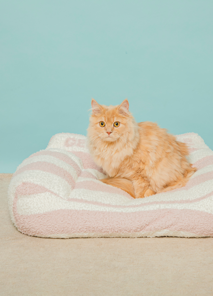 GELATO PIQUE いちご型ペットベッド