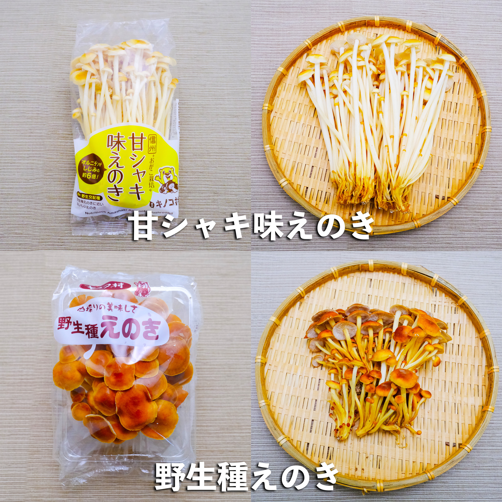 新鮮生きのこセット 6種類 各1パック（6パック） 長野県須坂市産 希少