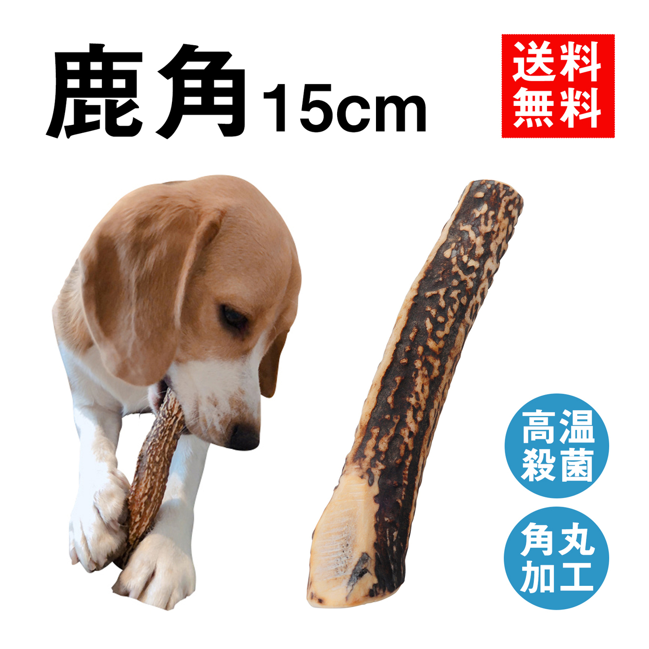安心・安全の国産 北海道のエゾ鹿の角【15cm 中型犬】鹿の角 犬