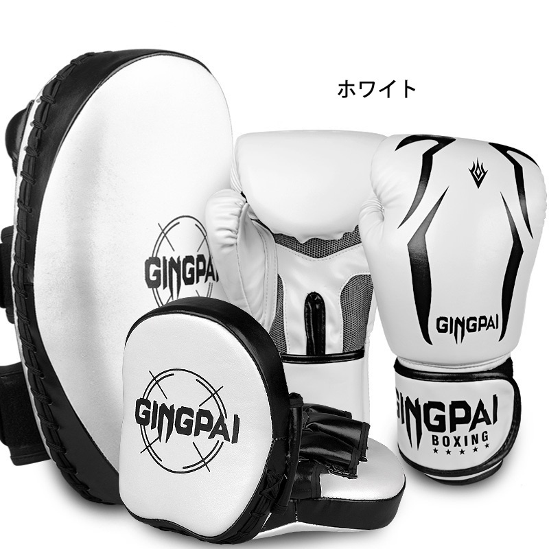 5点セット 4色 パンチングミット グローブ フットターゲット