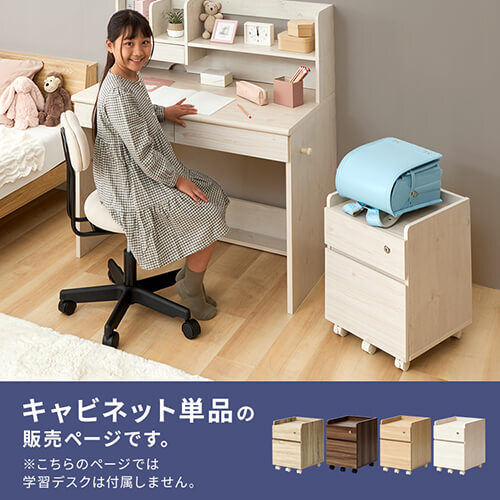 収納家具 デスクキャビネット CABINET キャビネット FJ-029-IRデスク脇