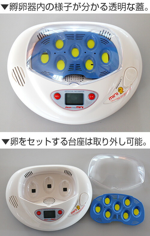 孵卵器 たまぴょミニ RCOM MINI 鳥類専用孵卵器 お手軽モデル[鶏