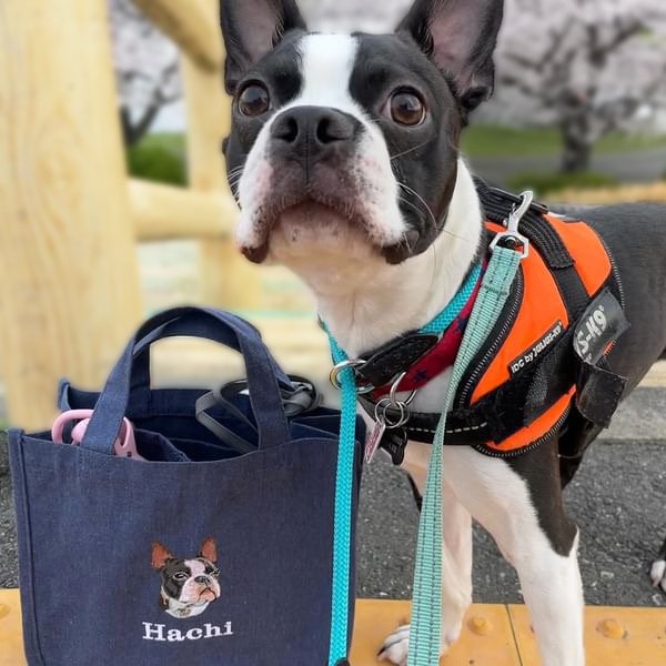 お散歩バッグ トートバッグ 仕切り 名前 名入れ 刺繍 刺しゅう ネーム