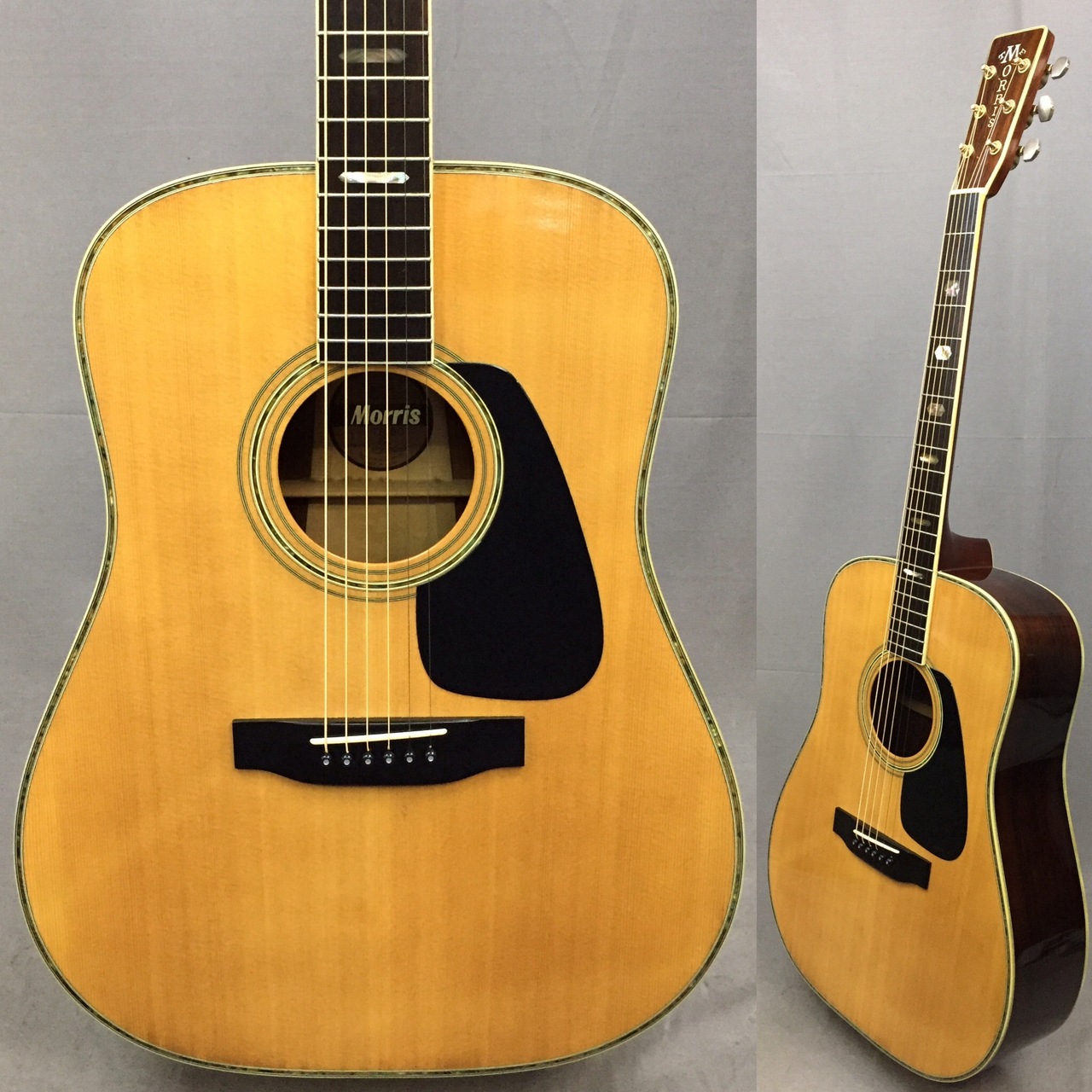 ハカランダ MORRIS モーリス TF-801アコースティックギター ハカランダ