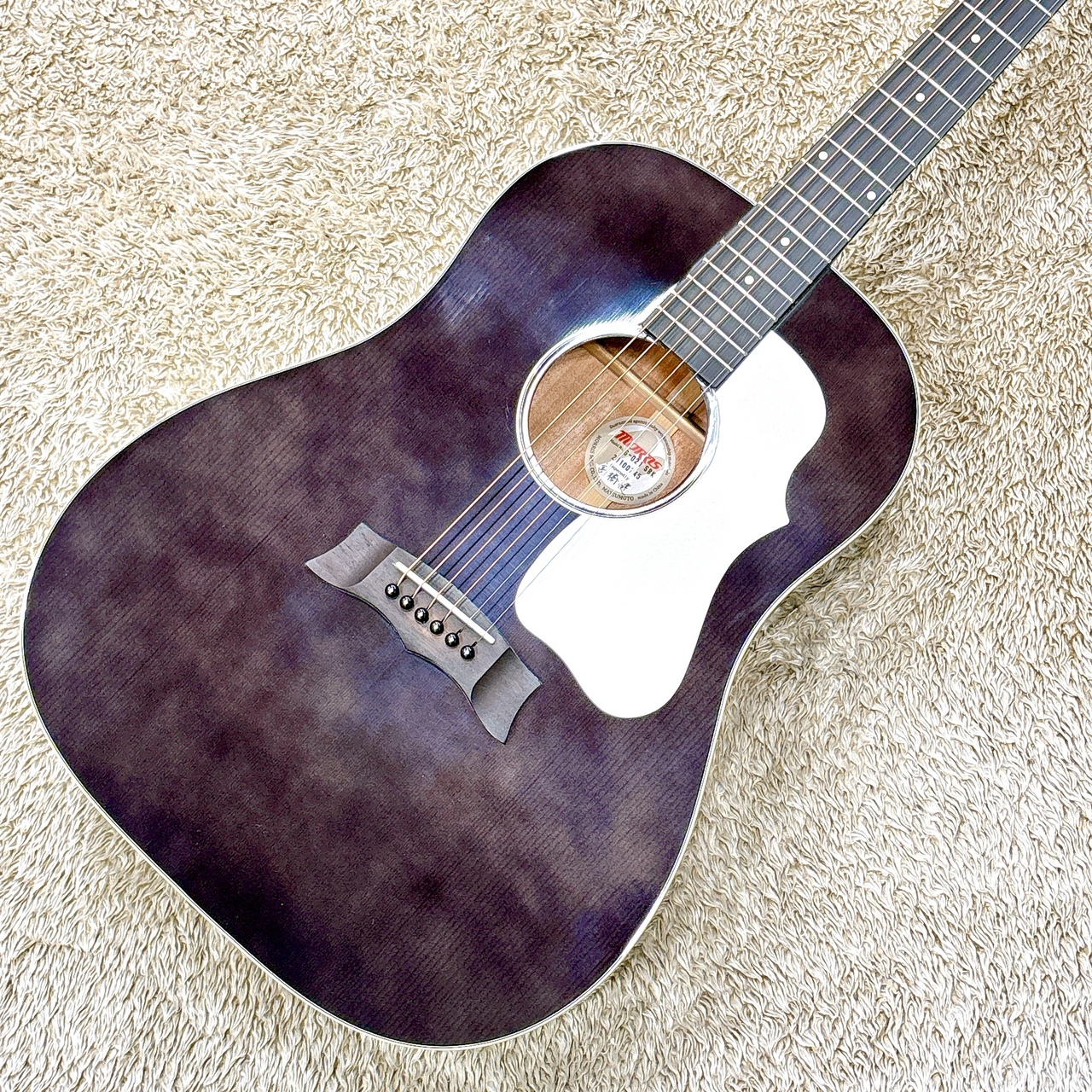 Morris G-021E VYL Morris G-021 E / VYL [ピックアップ付き][エレアコ