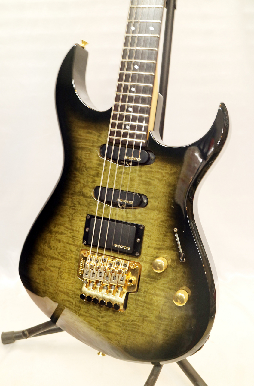 ギター Fernandes FERNANDES フェルナンデス FGZ-550 エレキギター
