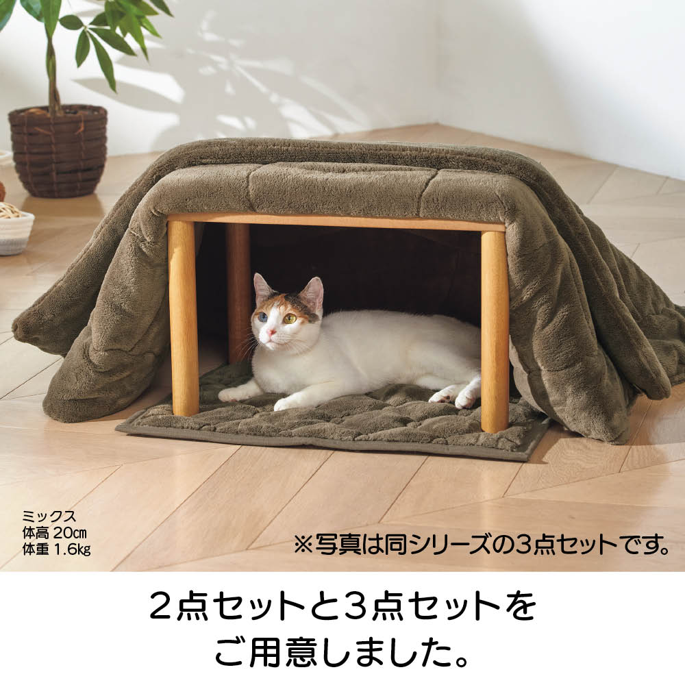猫用こたつ