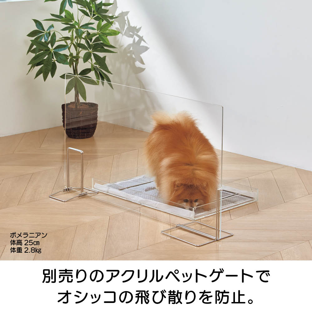 アクリルペットトイレトレー 通販 - ディノス