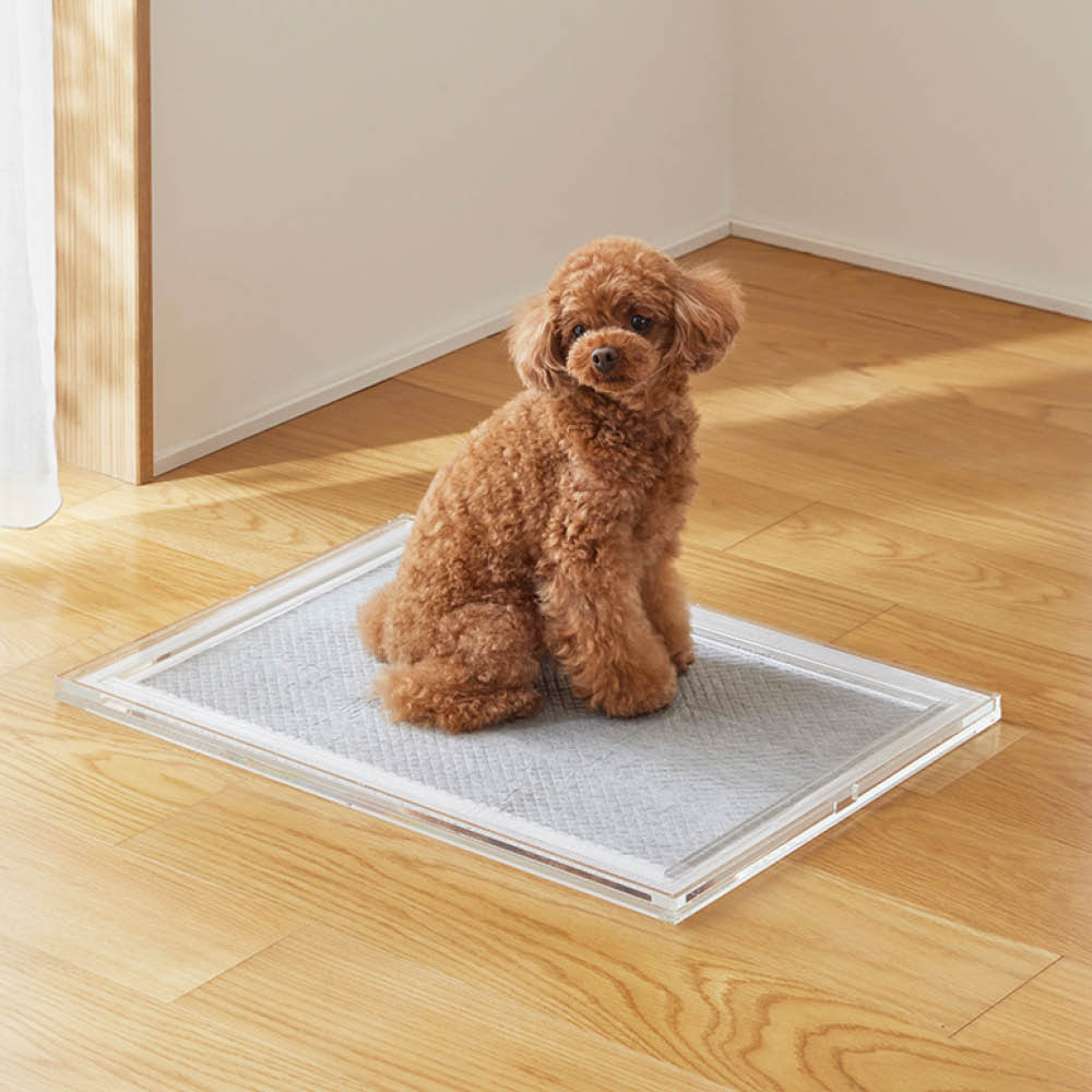 acry-ya アクリ屋ドットコム 犬トイレ ホワイト 新品 レギュラーサイズ