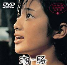 山口百恵 主演映画大全集 レーザーディスク 2025年最新】Yahoo