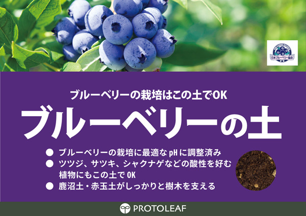 Lブルーベリー10箱 Lブルーベリー10箱 Lブルーベリー10箱 NTT α ZX