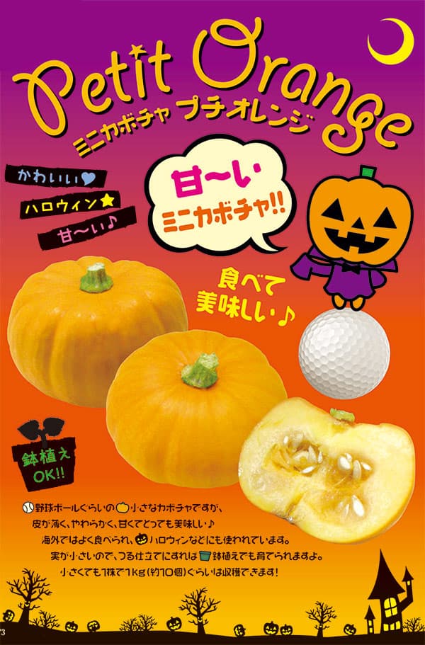 園芸ネット本店｜カボチャ（ミニ）：プチオレンジ3号ポット 6株セット