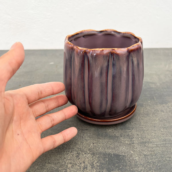 園芸ネット本店｜ウルル：紫S（直径11cm）・受け皿付 の通販【公式】