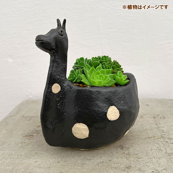 園芸ネット本店｜キリンの陶器鉢 の通販【公式】