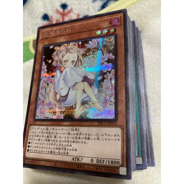 家庭教師ヒットマンREBORN 天野明展 京都 特典 ブロマイド ツナ リボーン