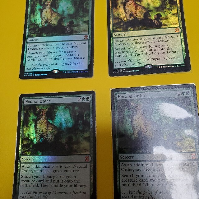 自然の秩序 英語 EMA foil 自然の秩序 英語 EMA foil ミントモール