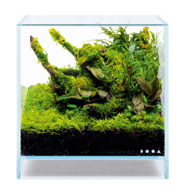 Aqua Design Amano - dooa ネオグラスエア 20×20×20 アクアデザイン