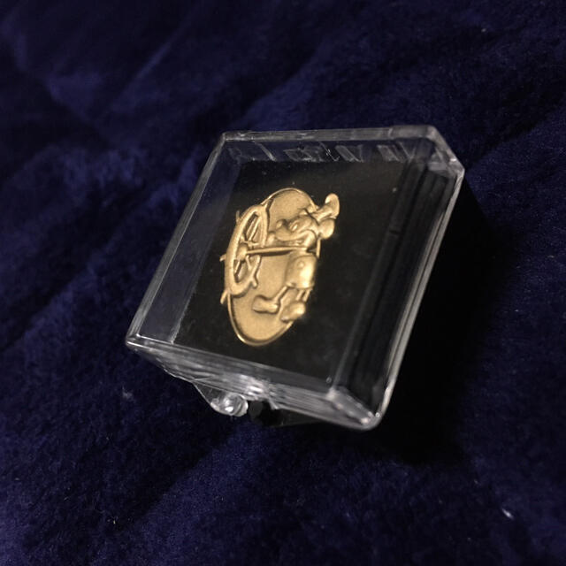 おまとめ確認用 ディズニーシー 蒸気船ウィリー ピンバッジ