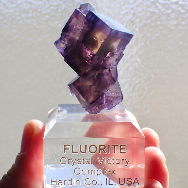 イリノイ産 フローライト フローライト イリノイ産 クリアパープル 蛍