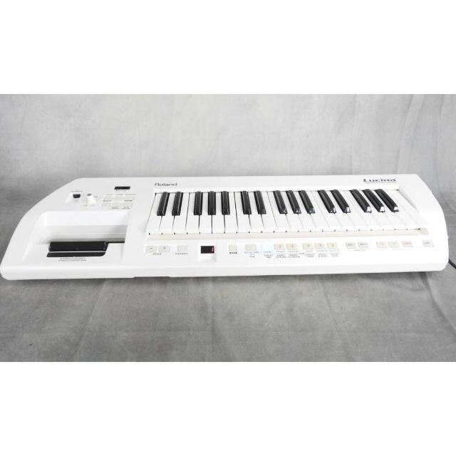 ローランド Roland AX-09 シンセサイザー Lucina ケース付
