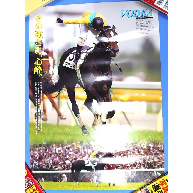 ヒーロー列伝 オグリキャップ B3ポスター 非売品】ウオッカ ポスター