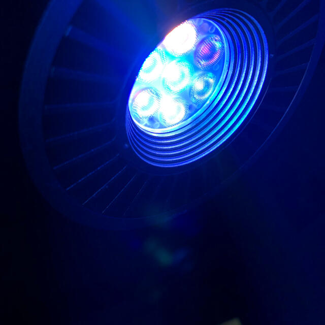 グラッシーレディオ RF×2 DP×1 GrassyLeDioRX122 DP×2 RF×1クリップ