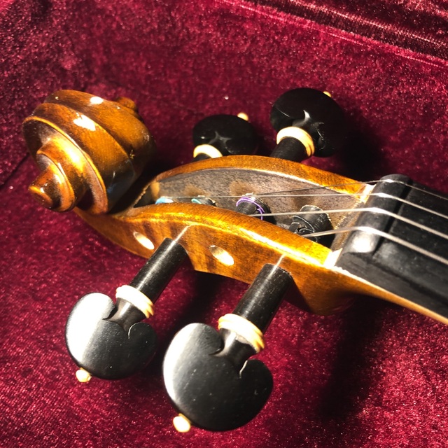 バイオリン Altezza アルテッツァ No.100 4/4 新品 弓2本付属の通販 by