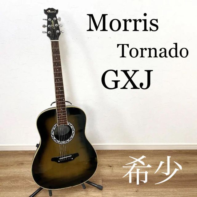 Morris Tornado gdx エレアコースティックギター(日本製) Morris