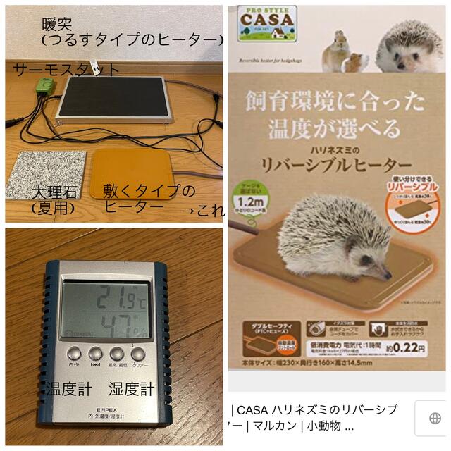 ☆値下げ(期間未定) ハリネズミ飼育セット(暖房器具、サーモ付き