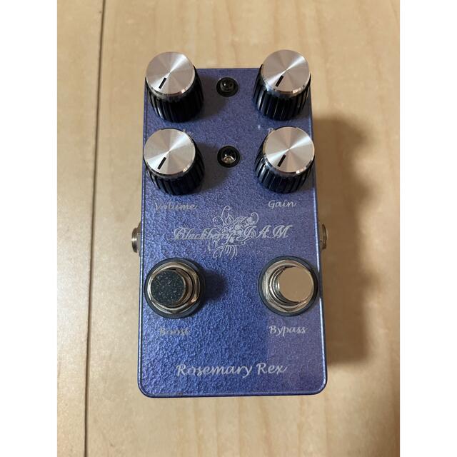 black berry jam Rosemary Rex Blackberry Jam Rosemary Rex ギター