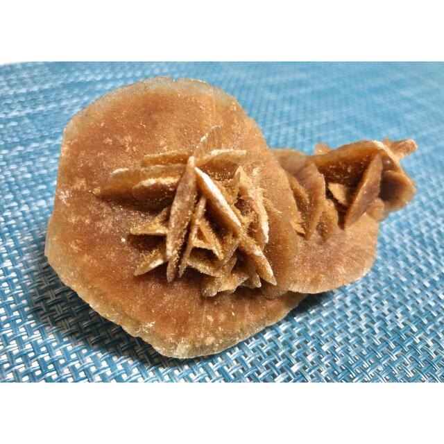 サハラのバラ サハラ砂漠 化石 2660グラムを超える特大標本！サハラ