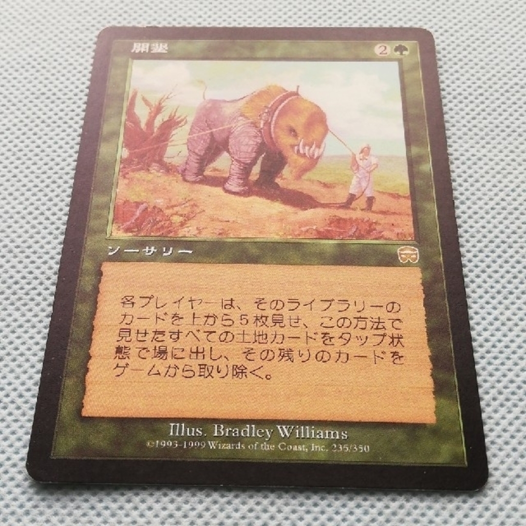 MTG未開封BOXメルカディアンマスクスMercadianMasques廃盤絶版 未開封