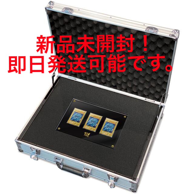 海馬セット 遊戯王 海馬セット 遊戯王】予約していた海馬セットが届い