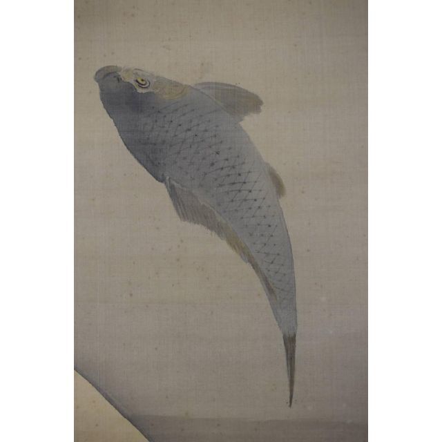 真作】菊池容斎/鯉滝昇り図/掛軸☆宝船☆Z-546