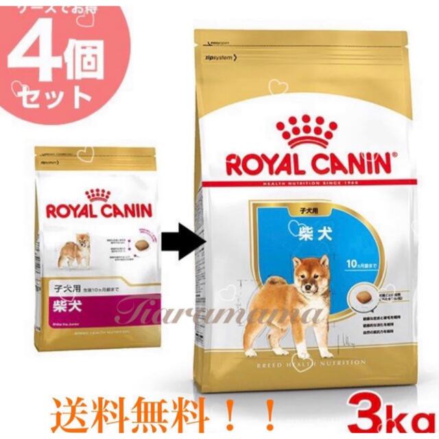 ロイヤルカナン ドライフード 柴犬子犬 3kg×4袋 ペット用品