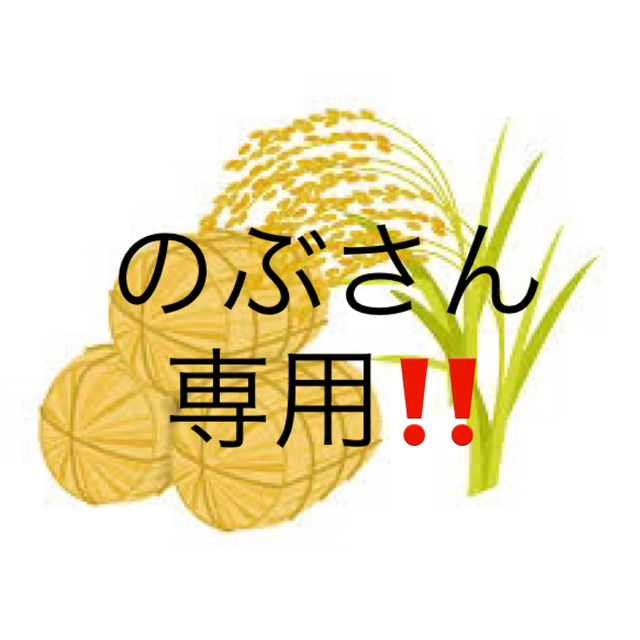 こめさん専用 米さん専用 みつさん 専用 みさん専用 mieさん専用 ZX