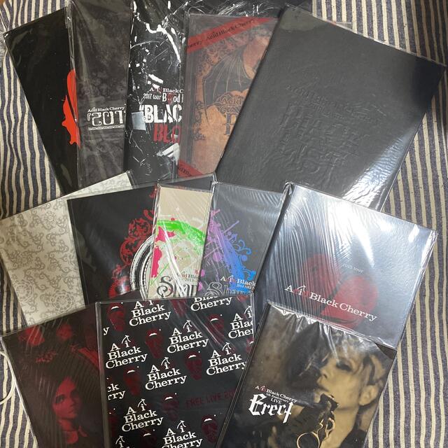 Acid Black Cherry パンフレット13冊 タレントグッズ