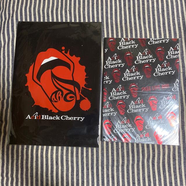 Acid Black Cherry パンフレット13冊 タレントグッズ