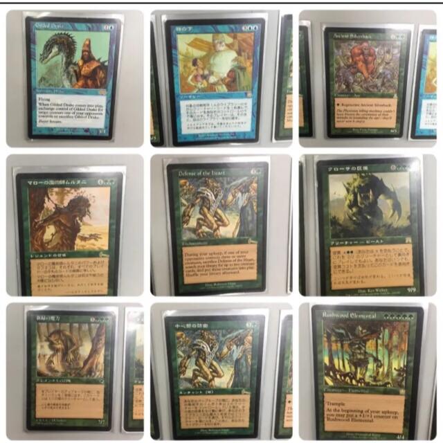 MTG 金粉のドレイク MTG 金粉のドレイク⁄ Gilded Drake 日本語版 ① 金粉