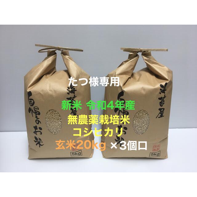 ワイヤレスダーツクレジットUP君 2個セット ワイヤレスダーツ