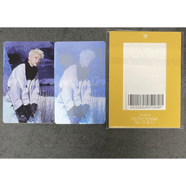 SEVENTEEN ザセム フィリピン限定 透明トレカ ウジ THESAEM SEVENTEEN