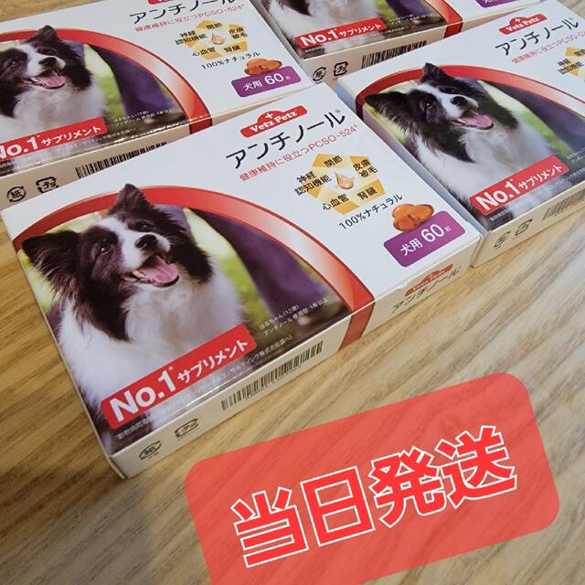 アンチノールプラス 60粒×4箱 犬用アンチノールプラス60粒×