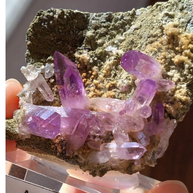 鉱物 標本 アメシスト 母岩付き メキシコ ベラクルス 鉱物 母岩付き