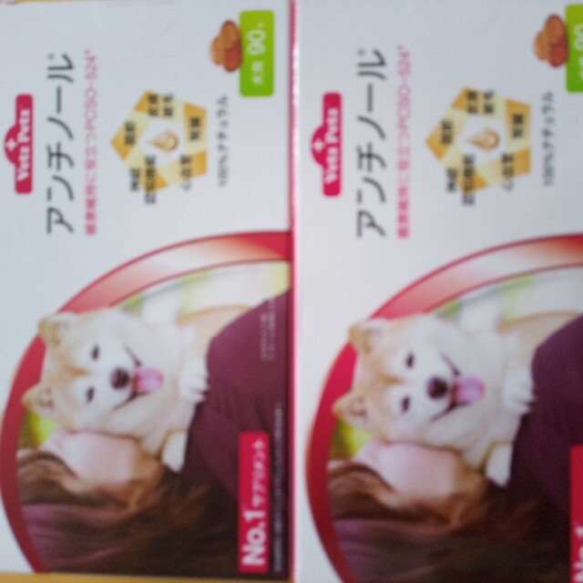 アンチノール 90粒2箱おまとめ