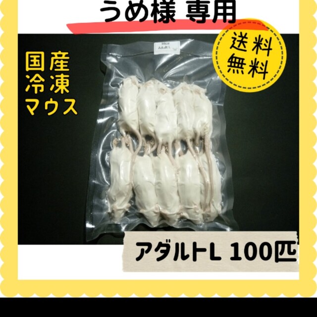 プロ用ペットセニングシザーブレンダーブレンディングトリミングママ