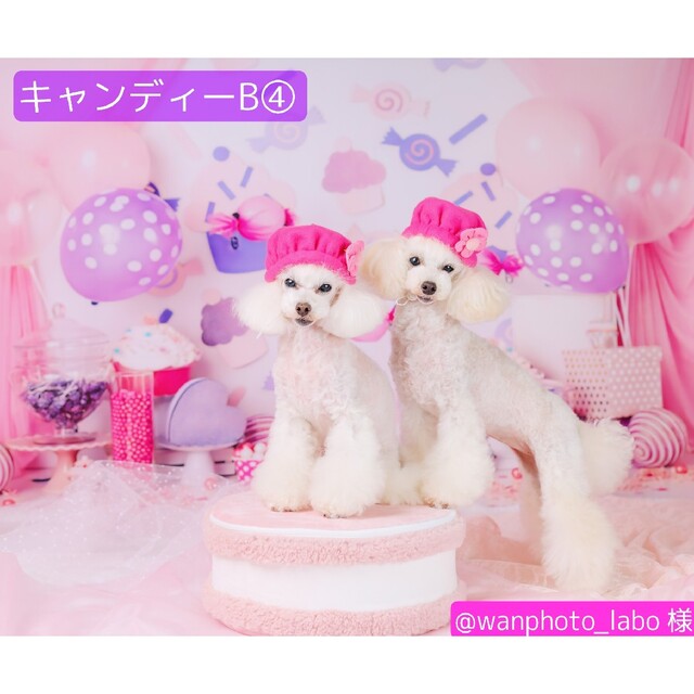 背景布 【 ハートH 】 サンプル バレンタイン、ニューボーンなど♪の